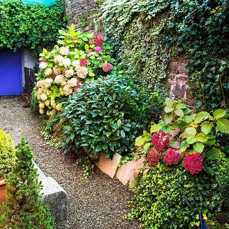 Byrnes Wine Dine Stay Ennistimon Zewnętrze zdjęcie